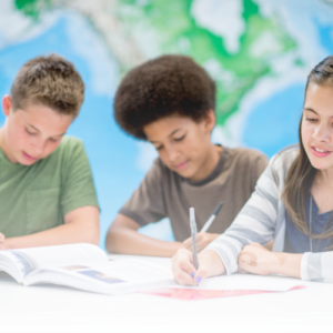 Social Studies & History