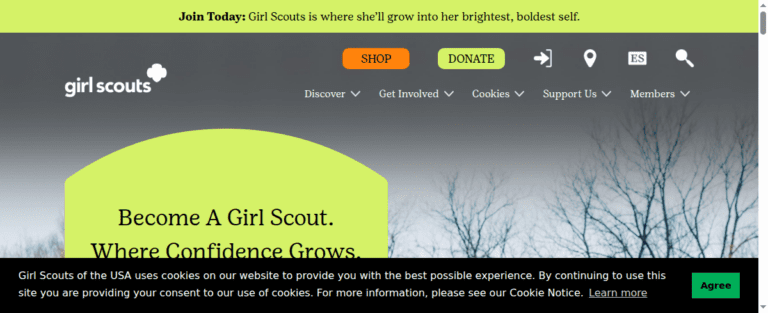 Girlscouts 1 1 768x313