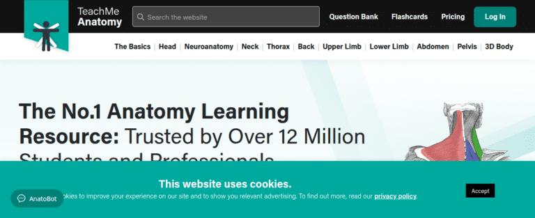 TeachmeanatomyInfo 1 1 768x313