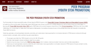PEER Program Youth STEM Promotion 1 300x157