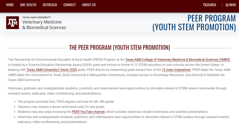 PEER Program Youth STEM Promotion 1 768x402