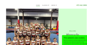 Pinnacle Gymnastics 1 300x157