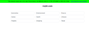 ROYBI 1 300x157