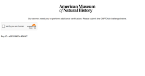 American Museum of Natural History Education 1 300x157