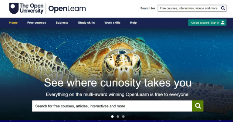 Provider Main Image Template 51 1 768x402