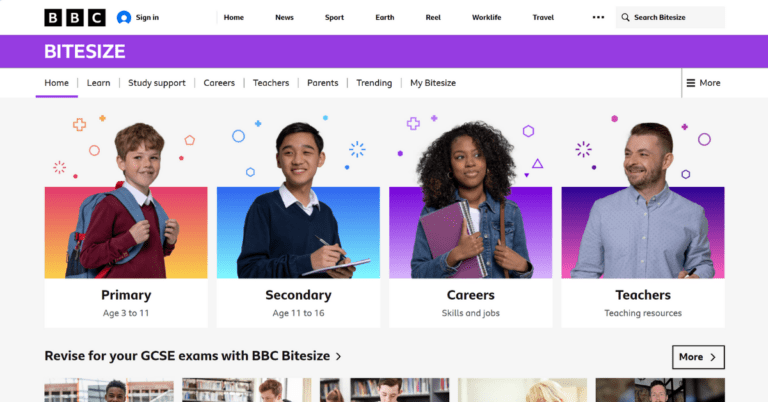 Provider Main Image Template 79 1 768x402