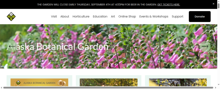 Alaskabg 1 1 768x313