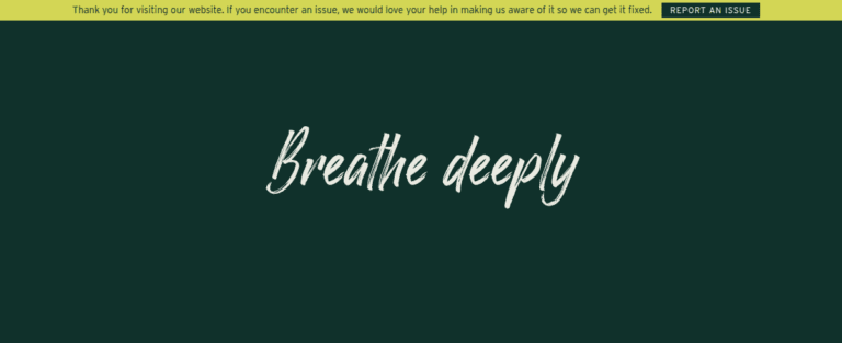 Couragerenewal 1 1 768x313