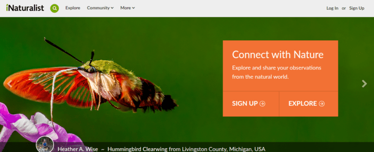 Inaturalist 1 1 768x313