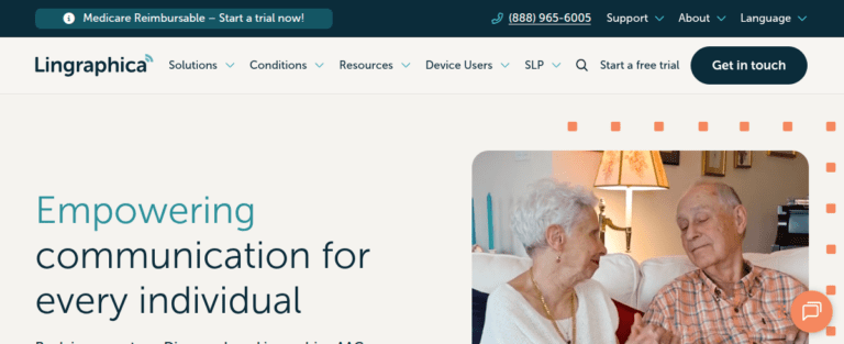 Lingraphica 1 1 768x313