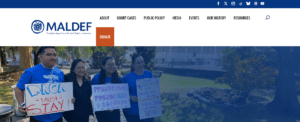 Maldef 1 1 300x122