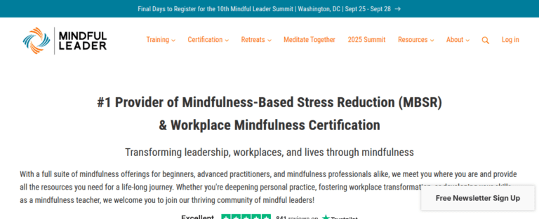 Mindfulleader 1 1 768x313
