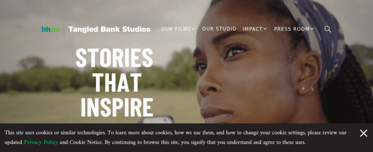 Tangledbankstudios 1 1 768x313