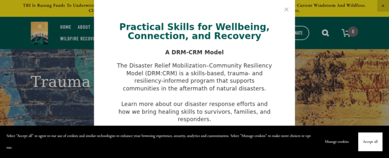 Traumaresource Institute 1 1 768x313