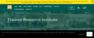 Traumaresource Institute 2 1 300x122