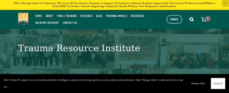 Traumaresource Institute 2 1 768x313