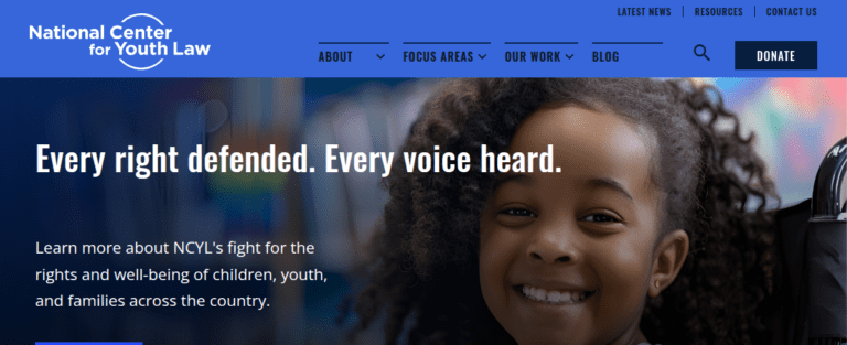 Youthlaw 1 1 768x313