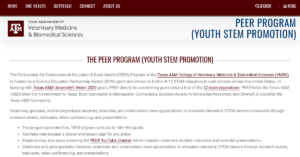 PEER Program Youth STEM Promotion 1 300x157