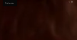 The Fab Foundation 1 300x157