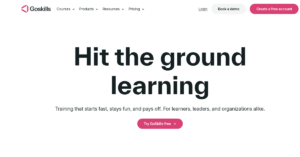 GoSkillscom 2 1 300x157