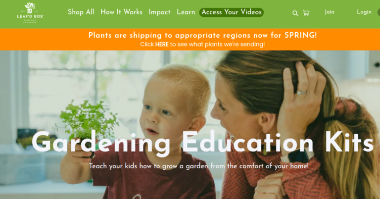 Leafd Box 2 768x402