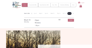 Natural State Performing Arts LLC 1 300x157