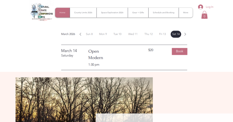 Natural State Performing Arts LLC 1 768x402