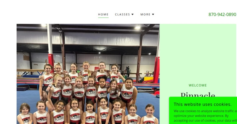 Pinnacle Gymnastics 1 768x402