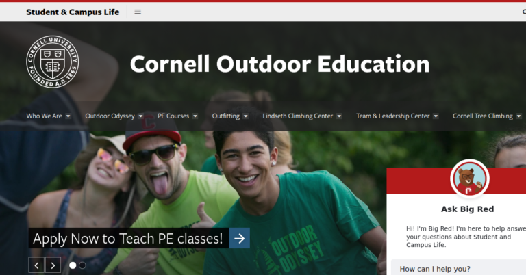 Wild Learning 1 768x402