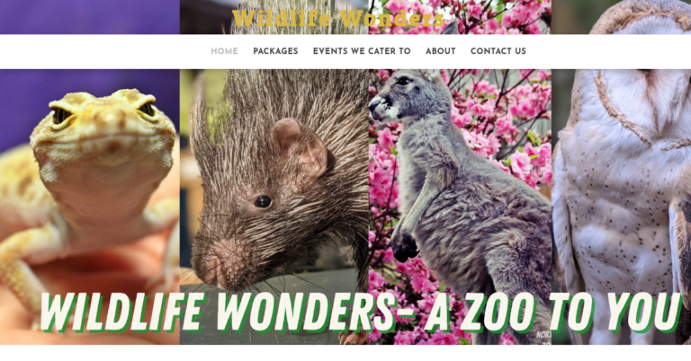 Wildlife Wonders 1 768x402