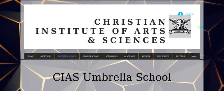 christianinstitute 1 768x313