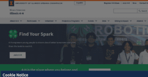 Illinois 4 H 4 300x157