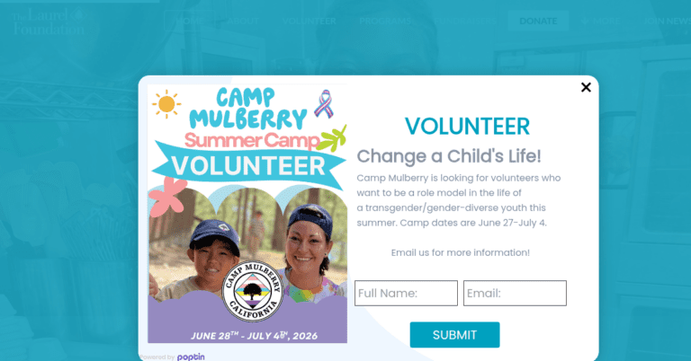 The Laurel Foundation 2 768x402