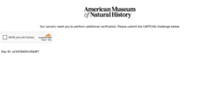 American Museum of Natural History Education 1 300x157