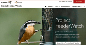 Project FeederWatch 1 300x157