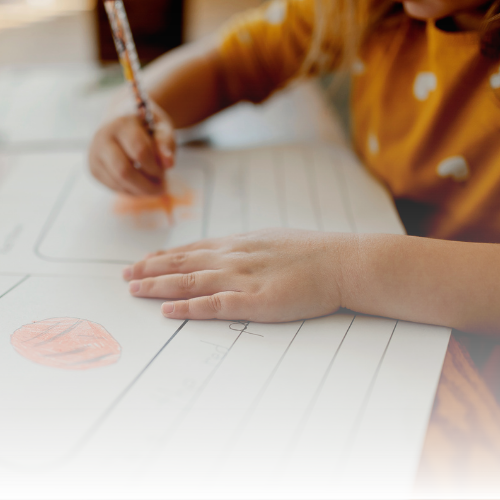 Homeschool curriculum options for different homeschool learning styles